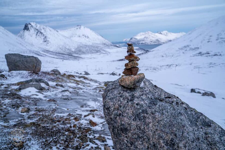 Tromsø: Arctic Sightseeing & Snowshoeing with picnic - The return drive adds a little more