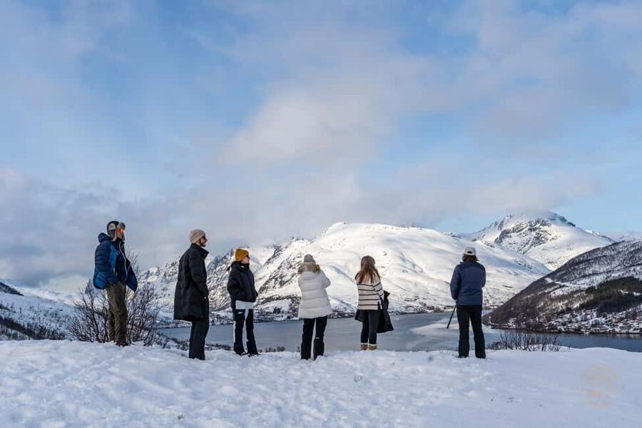 Tromsø: Arctic Sightseeing & Snowshoeing with picnic - Should you book this snowshoe tour?