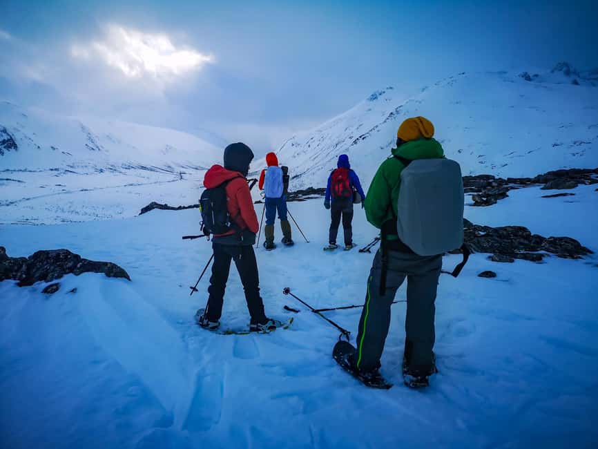 Tromsø: Arctic Snowshoeing Experience - Key points to know before you book