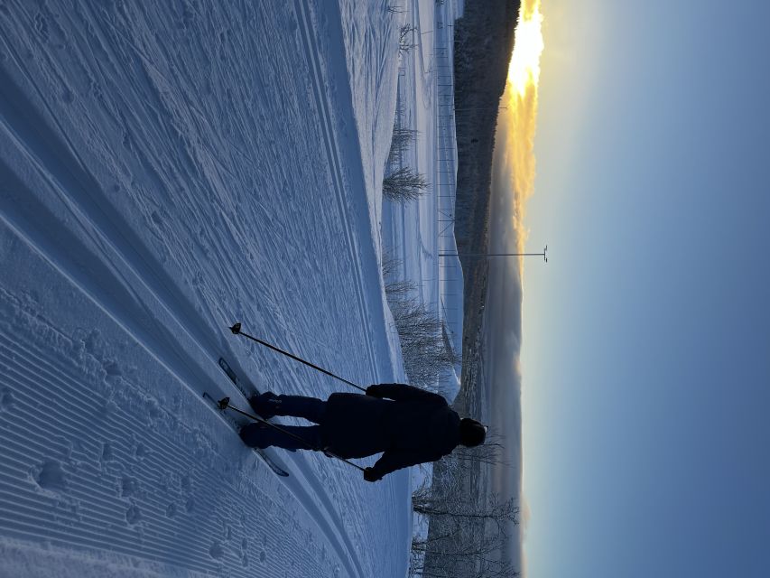Tromsø: Cross Country Guided Skiing Course - The Tromsøya route and its scenic pauses