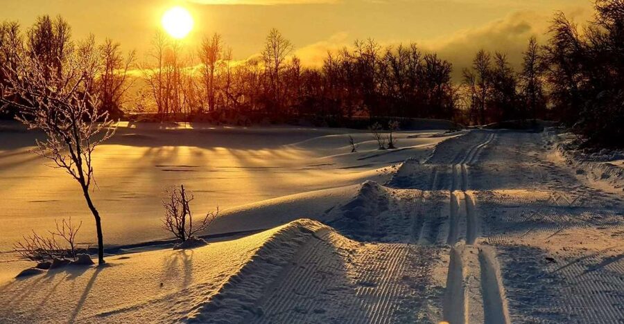 Tromsø: Cross Country Guided Skiing Course - Clothing matters more than the included equipment