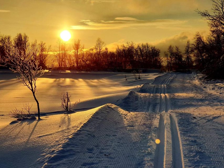 Tromsø: Cross Country Guided Skiing Course - From Charlottenlund to the snowy trails
