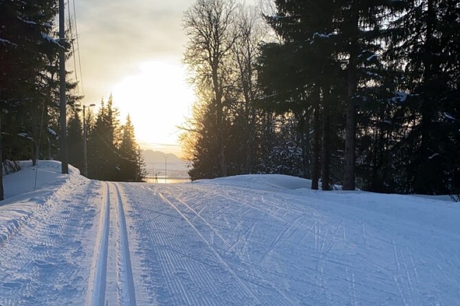 Tromsø Cross-Country Ski Adventure - Key points to know before you book