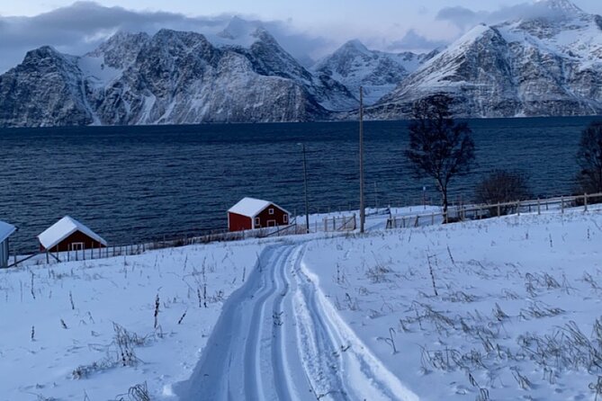 Tromsø Cross-Country Ski Adventure - The viewpoint break and warm drink