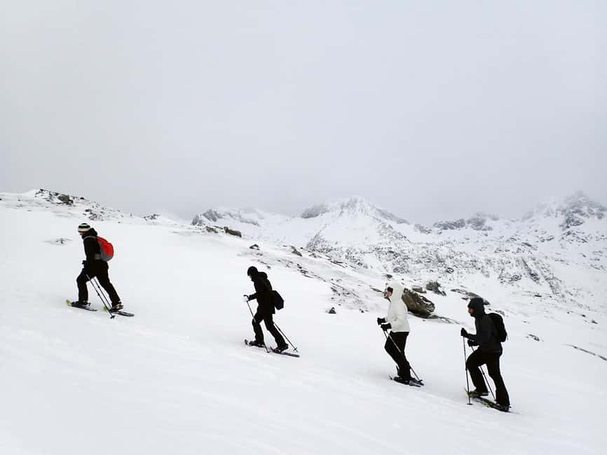 Tromsø: Guided snowshoe hill hike - Key points at a glance