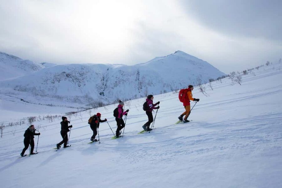 Tromsø: Guided snowshoe hill hike - Who should book this hike?