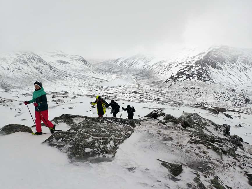 Tromsø: Guided snowshoe hill hike - Summit views across mountains and fjords