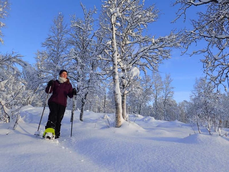 Tromsø: Guided snowshoe trip with a campfire - Key points to know before you book