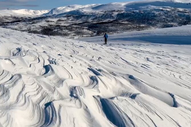 Tromso: Reindeer Feeding and Snowshoeing Tour with Lunch - Reindeer First, Snowshoes Second