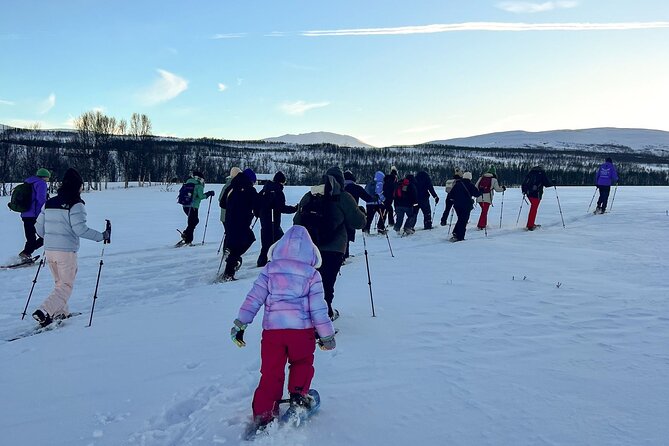 Tromso: Reindeer Feeding and Snowshoeing Tour with Lunch - Meeting the Reindeer in Tromsø’s Winter Setting
