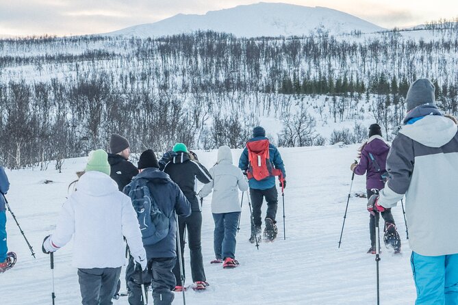 Tromso: Reindeer Feeding and Snowshoeing Tour with Lunch - How the Four-Hour Schedule Works