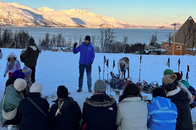 Tromso: Reindeer Feeding and Snowshoeing Tour with Lunch - Snowshoeing for Beginners, Not a Hard Trek