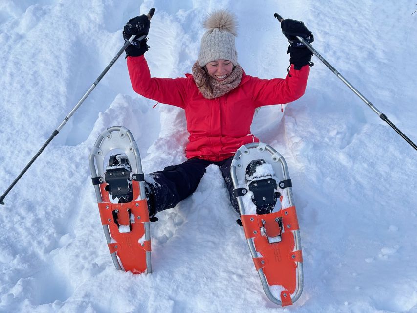 Tromso: Scenic & Eco-Friendly Snowshoeing Tour - A small peak with two fjords below