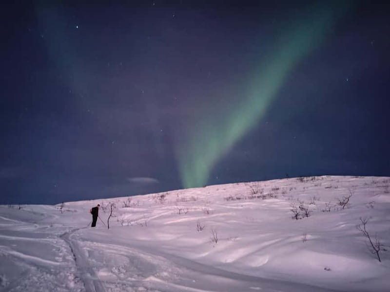 Tromsø: Ski touring (ski de randonnee) - A steady uphill route of 3 to 6 kilometers