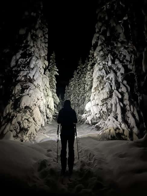 Tromsø: Ski touring (ski de randonnee) - The descent: skiing from mountain to sea