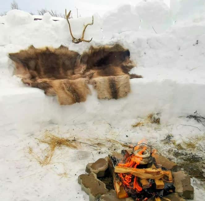 Tromsø: Sledding, Toboggan, Mini Skiing, Lasso & Arctic Fun - A local-style snow day at Charlottenlund Park