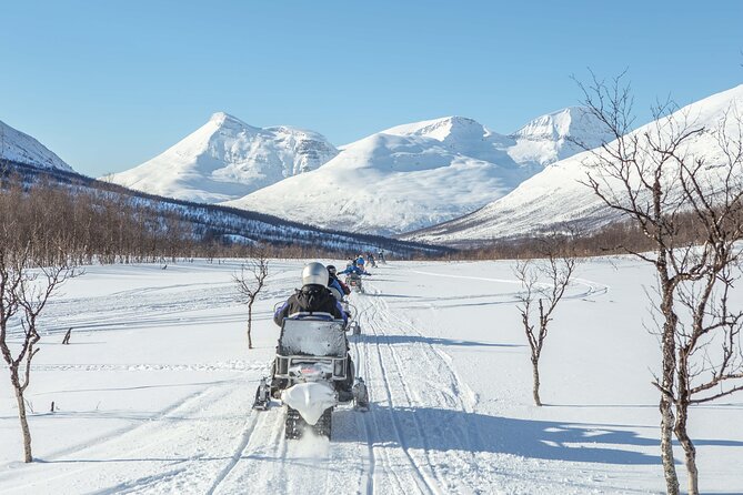 Tromsø Snowmobiling, Ice Domes Snow Park, and Reindeer Visit - What the reindeer visit really includes