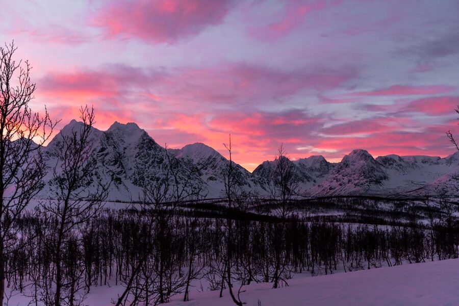 Tromso-Snowshoeing excursion to view point - The east and west views make the walk worthwhile