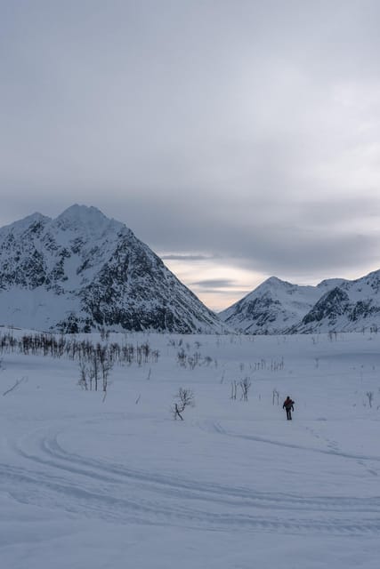Tromso-Snowshoeing excursion to view point - Is $199 fair for three and a half hours?