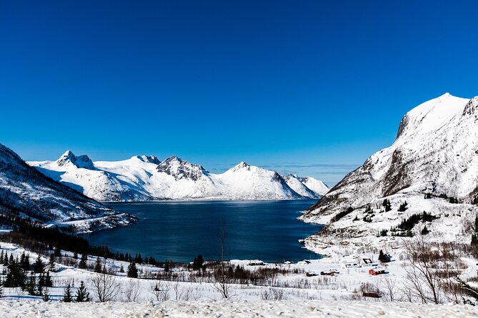 Tromso-Snowshoeing Excursion to Viewpoint - Getting used to snowshoes on the hill