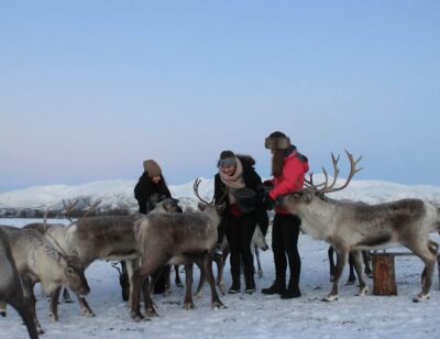 Tromsø: Snowshoeing Tour & Reindeer Encounter with Lunch