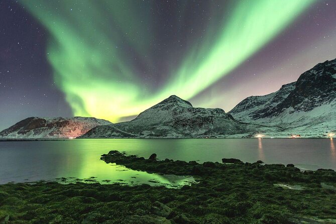 Tromso Snowshoeing - Valley, Fjord Views, Wildlife, Meal & Pickup - Key points at a glance