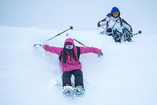 Tromso Snowshoeing - Valley, Fjord Views, Wildlife, Meal & Pickup - Snowshoes, poles, and the first steps