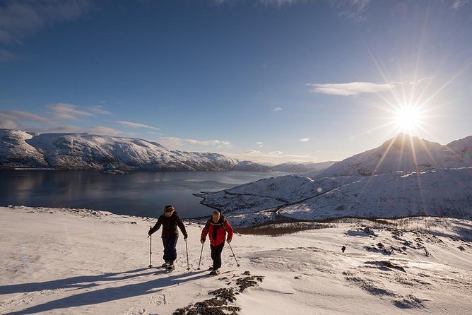 Tromso Snowshoeing - Valley, Fjord Views, Wildlife, Meal & Pickup - Lunch at the viewpoint, with tea and coffee