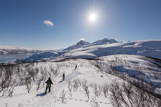 Tromso Snowshoeing - Valley, Fjord Views, Wildlife, Meal & Pickup - Guides who adjust the day