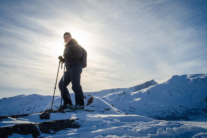 Tromso Snowshoeing - Valley, Fjord Views, Wildlife, Meal & Pickup - What the $129.17 price gives you