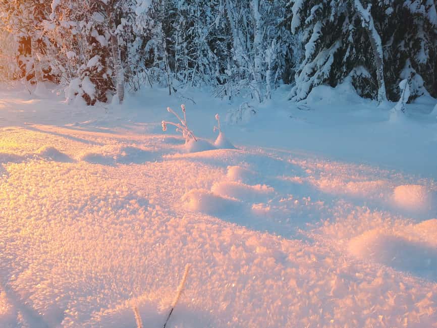 Tromsø Street to Wilderness: Guided Snowshoe Hike - Phil’s guiding style and the value of a tiny group