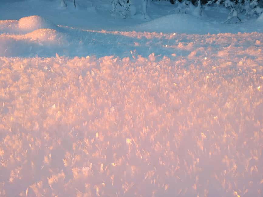 Tromsø Street to Wilderness: Guided Snowshoe Hike - What to wear and what the equipment does not include
