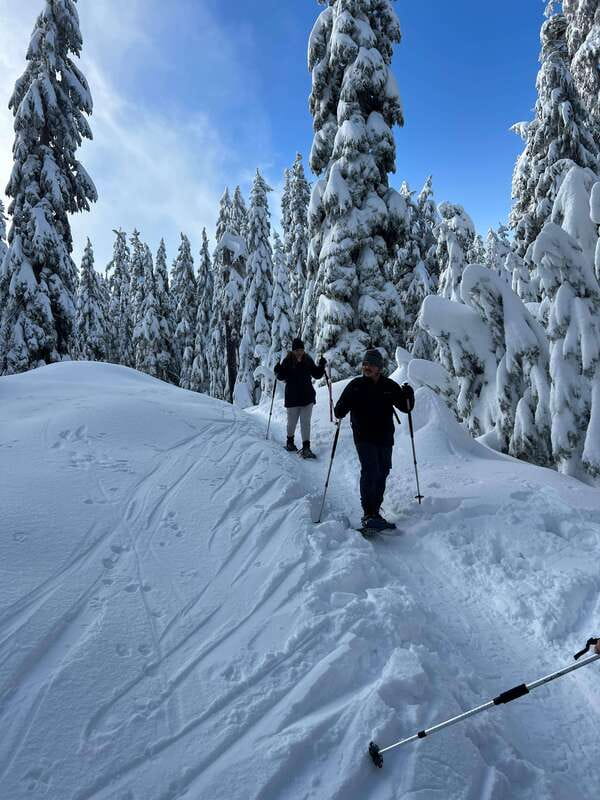 Vancouver: North Shore Mountains Snowshoeing with Transfer - From Vancouver streets to a North Shore winter wonderland