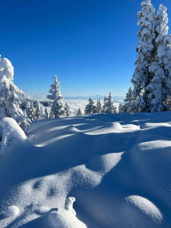 Vancouver: North Shore Mountains Snowshoeing with Transfer - Should you book it?