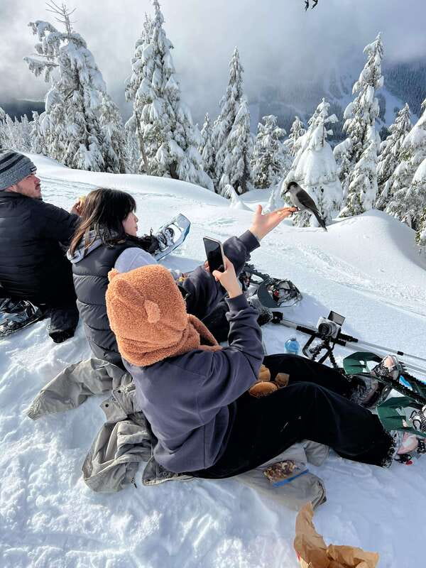 Vancouver: North Shore Mountains Snowshoeing with Transfer - A small group changes the feel of the outing