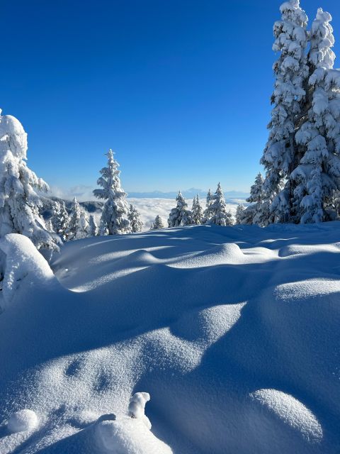 Vancouver: North Shore Mountains Snowshoeing with Transfer - What the tour does especially well