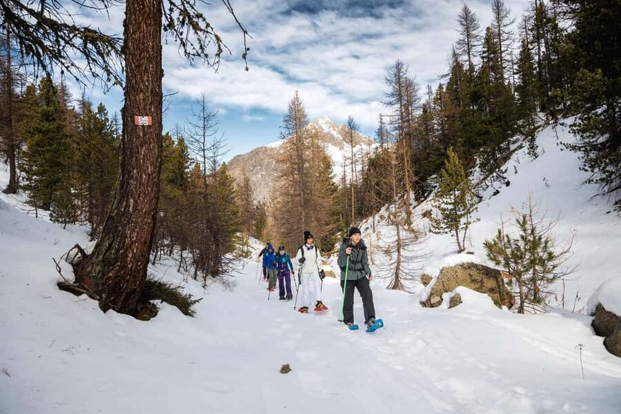 Vialattea: Snowshoeing in the Snowy Forest - Key points at a glance
