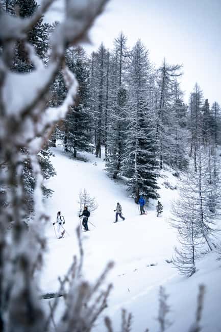Vialattea: Snowshoeing in the Snowy Forest - Practical preparation for the morning