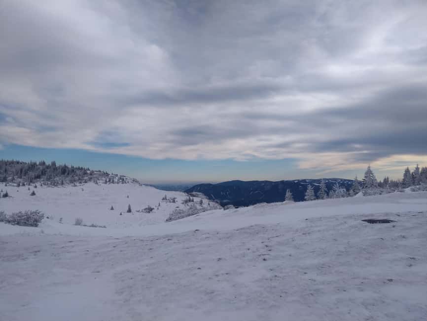 Vienna: Relaxed Alpine Snowshoe Experience Guide & Transfer - Three hours on snowy Rax trails