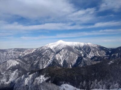 Vienna: Relaxed Alpine Snowshoe Experience Guide & Transfer
