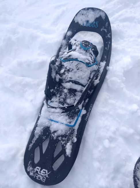 Vienna: Relaxed Alpine Snowshoe Experience Guide & Transfer - Booking details that affect your decision