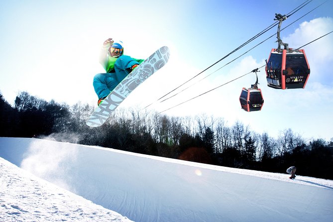 Vivaldi Park Winter Ski Resort with Nami Island Tour from Seoul - What the day at Vivaldi Park is really like