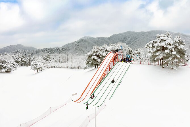 Vivaldi Park Winter Ski Resort with Nami Island Tour from Seoul - Transport, group size, and the long day