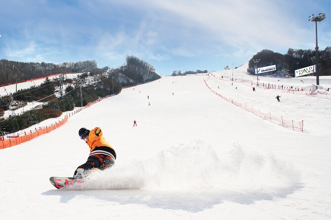Vivaldi Park Winter Ski Resort with Nami Island Tour from Seoul - Choosing the right Vivaldi Park package