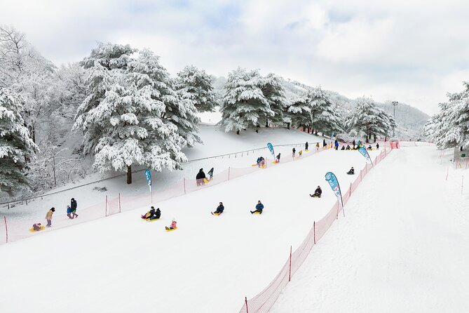 Vivaldi Park Winter Ski with Eobi Ice Valley Day Tour from Seoul - Eobi Ice Valley and its frozen photo scenery