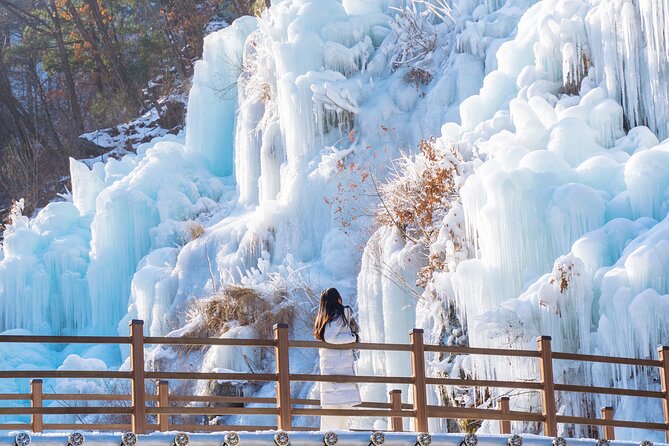 Vivaldi Park Winter Ski with Eobi Ice Valley Day Tour from Seoul - Who will get the most from this trip
