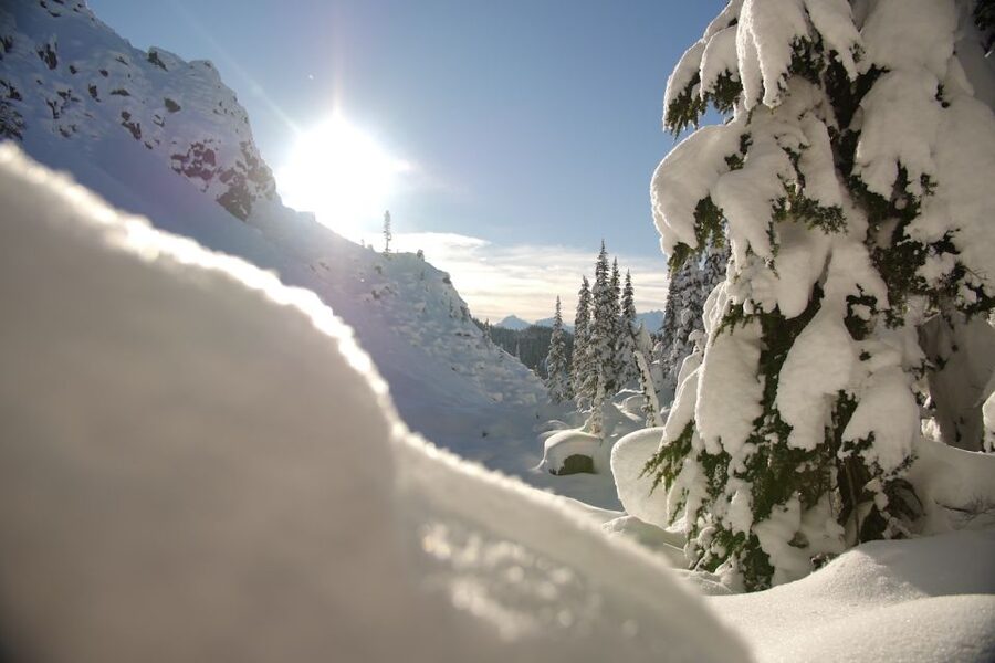 Whistler: Backcountry Snowshoeing Tour with Guide - FAQ
