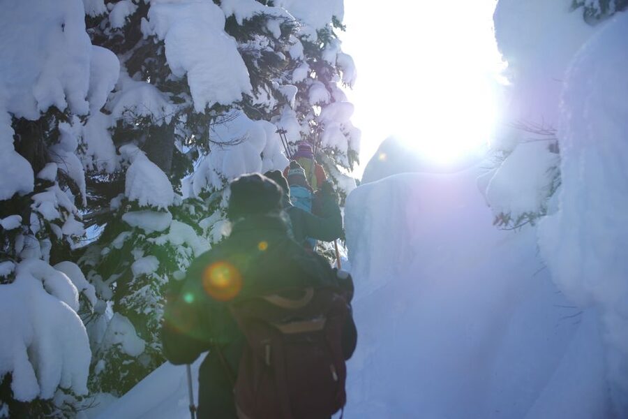 Whistler: Backcountry Snowshoeing Tour with Guide - Walking among ancient cedars and volcanic rock