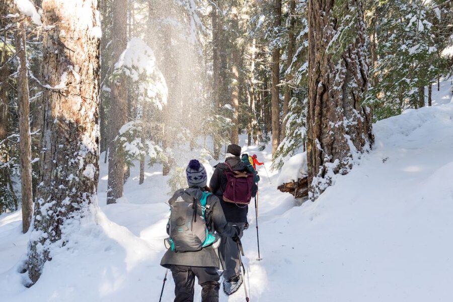 Whistler: Backcountry Snowshoeing Tour with Guide - Who should book this experience?
