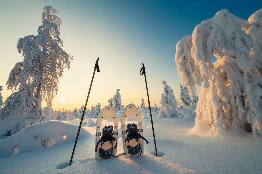 Whistler: Backcountry Snowshoeing Tour with Guide - Booking details worth checking